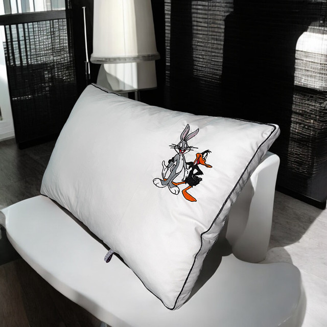 Jastuk sa vezom 40x60 – angin pamuk